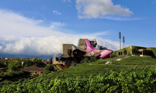 Qué es el enoturismo en España: guía y mejores rutas