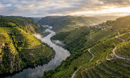 Enoturismo en Galicia: guía de DO, bodegas y escapadas vinícolas 2026