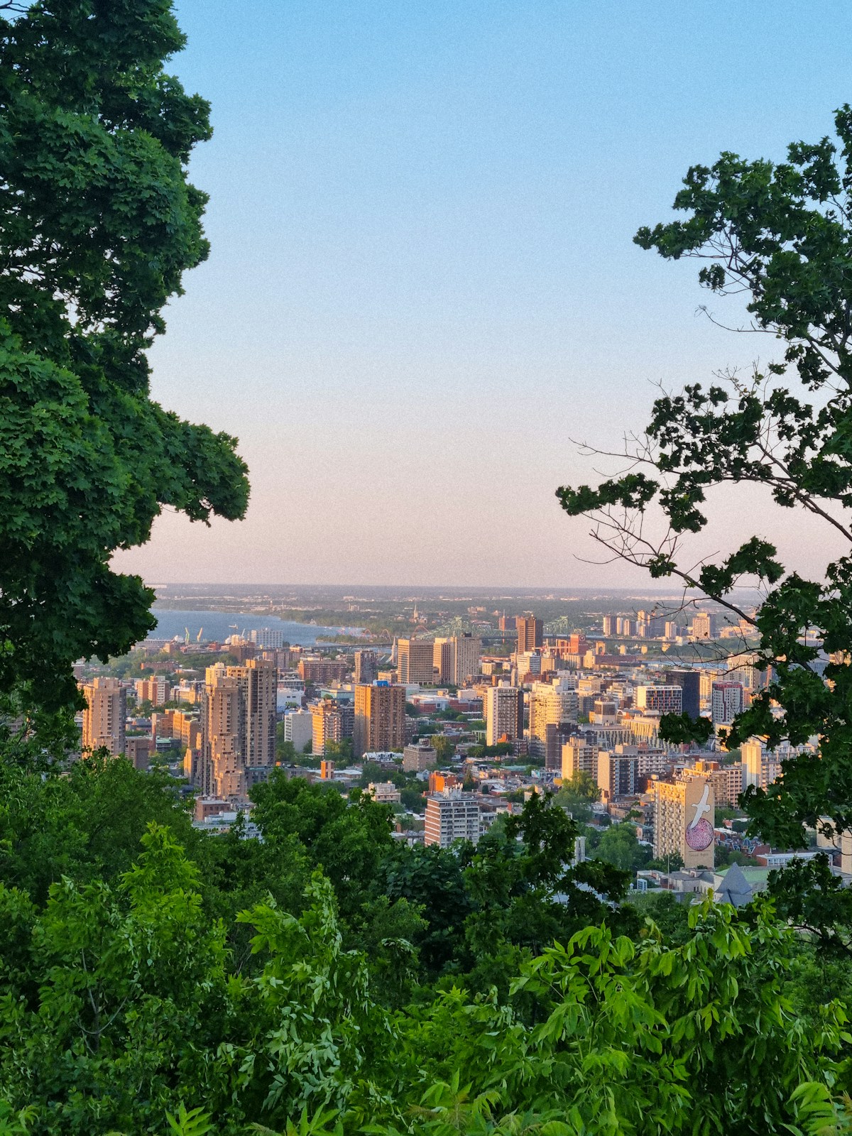 Vista del skyline de Montreal desde el Mont-Royal con el río San Lorenzo al fondo
